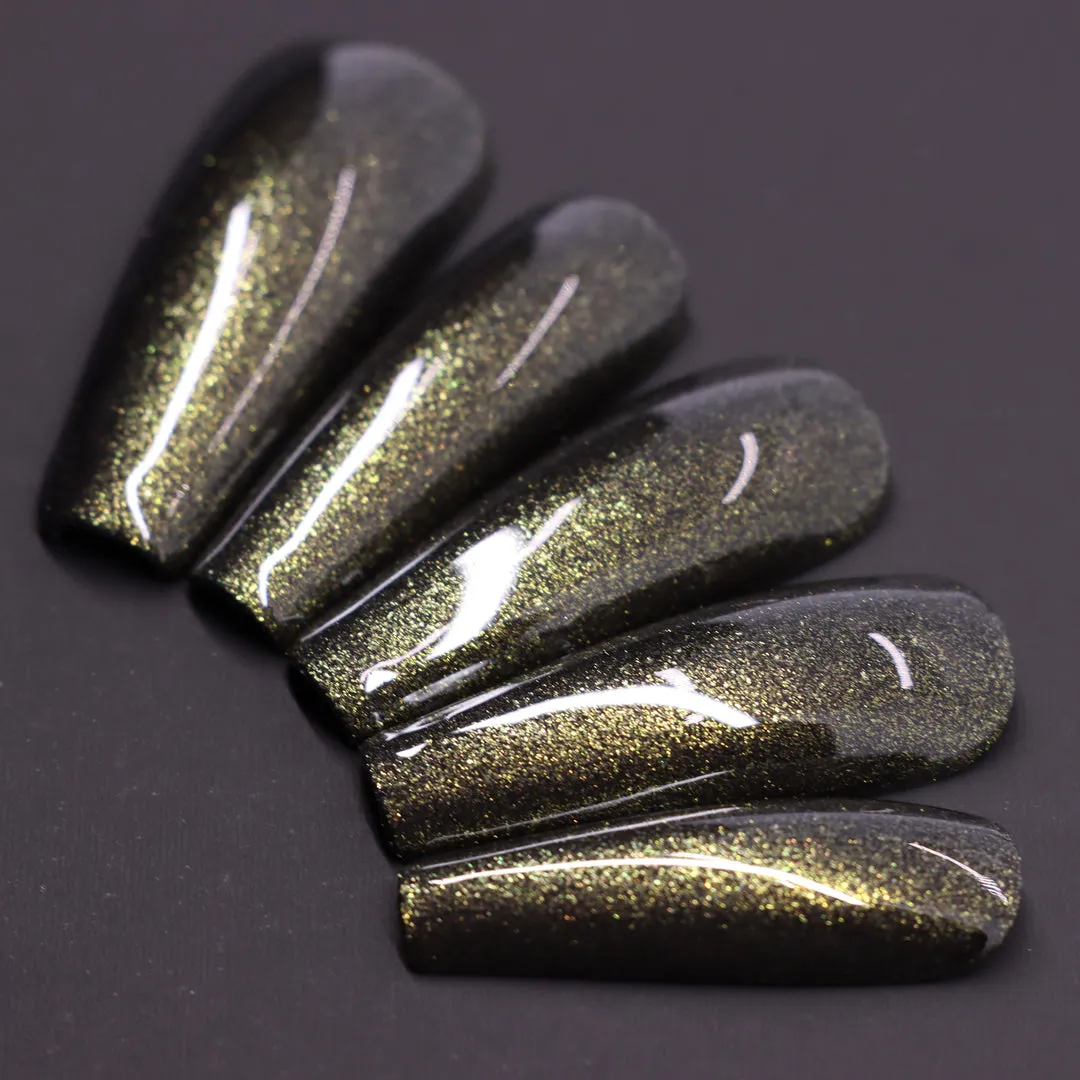 Dimension Nails - Terai-Duar Savanna - Himalayan Newt