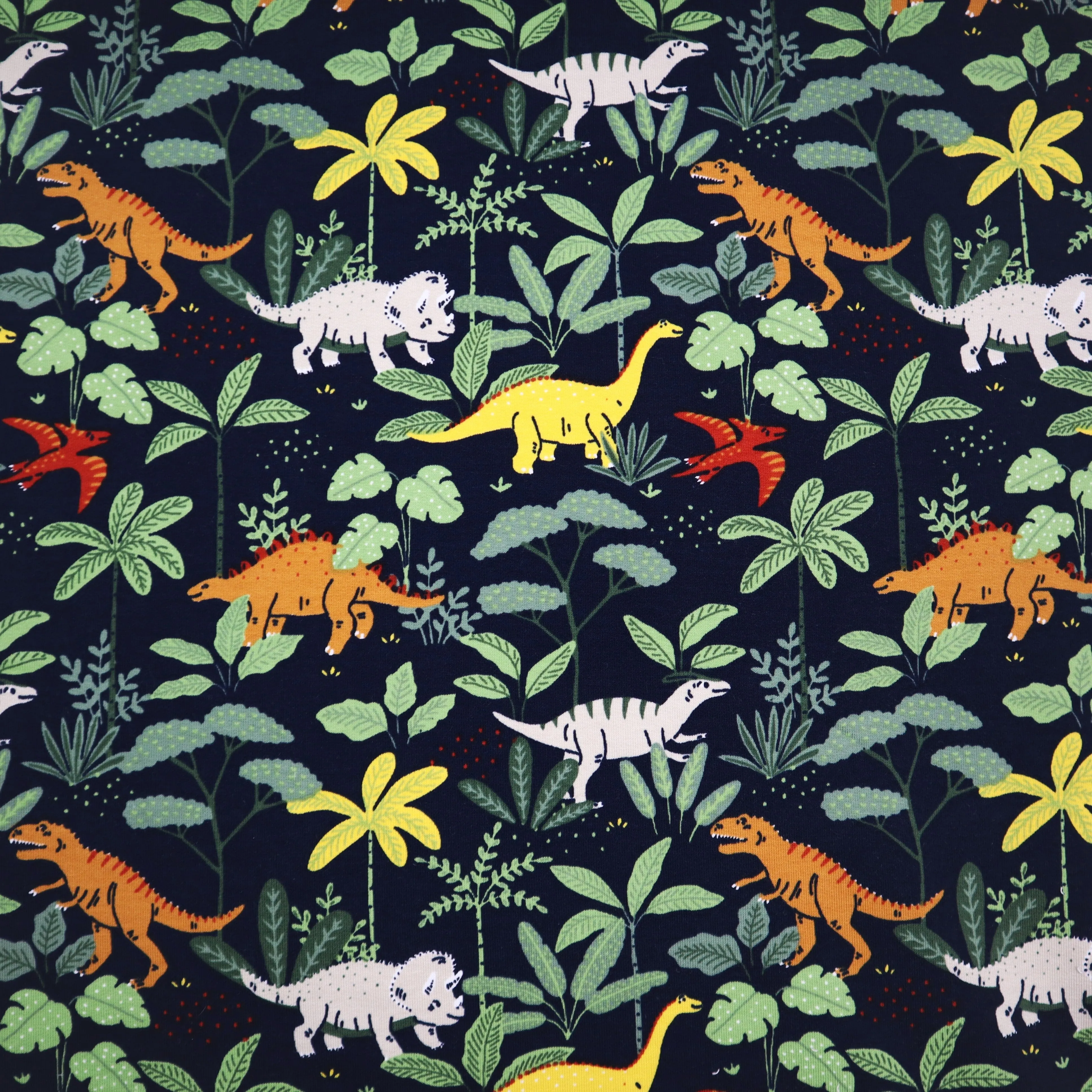 End of Roll Rem Organic French Terry in Navy Dinosaur Print