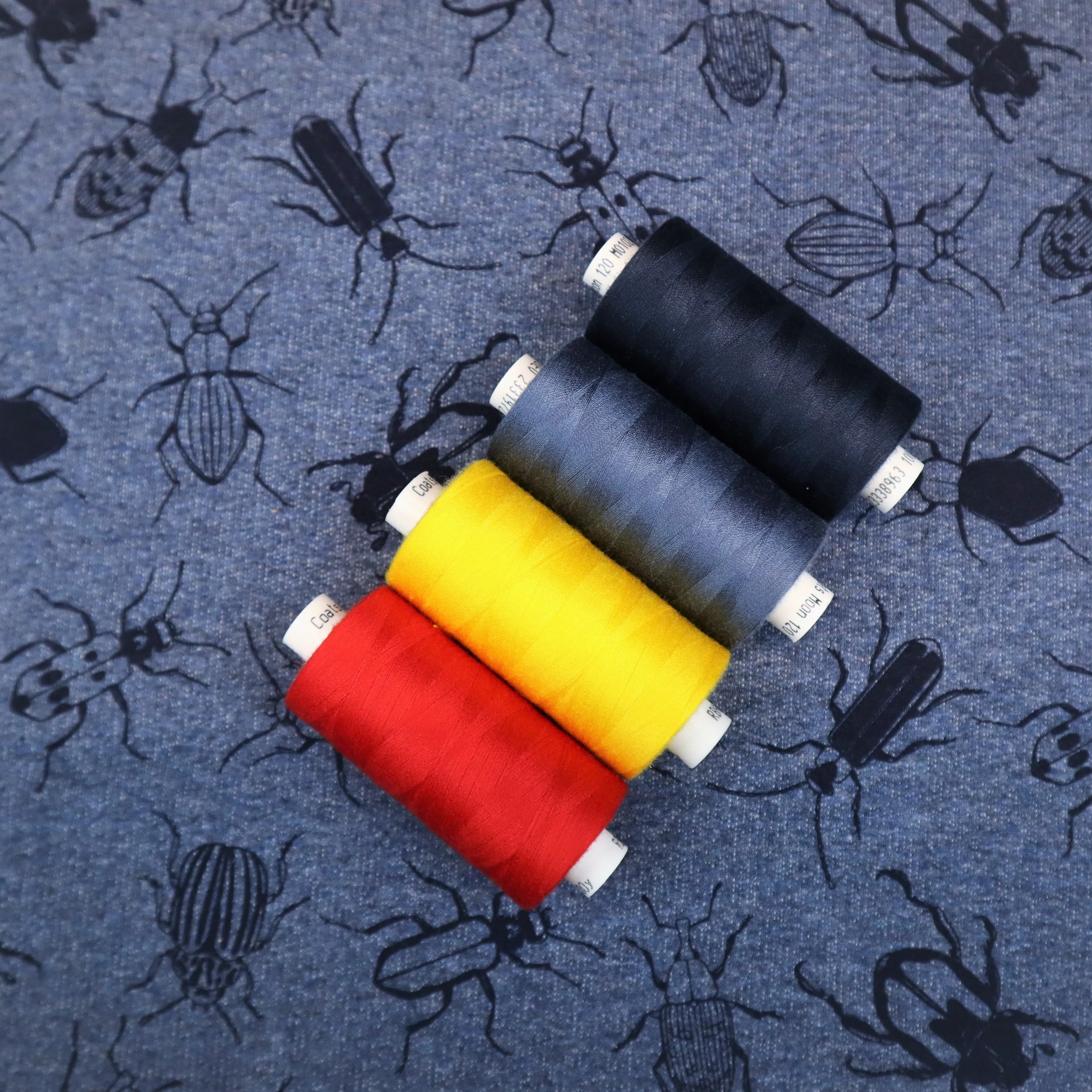 French Terry in Bug Print