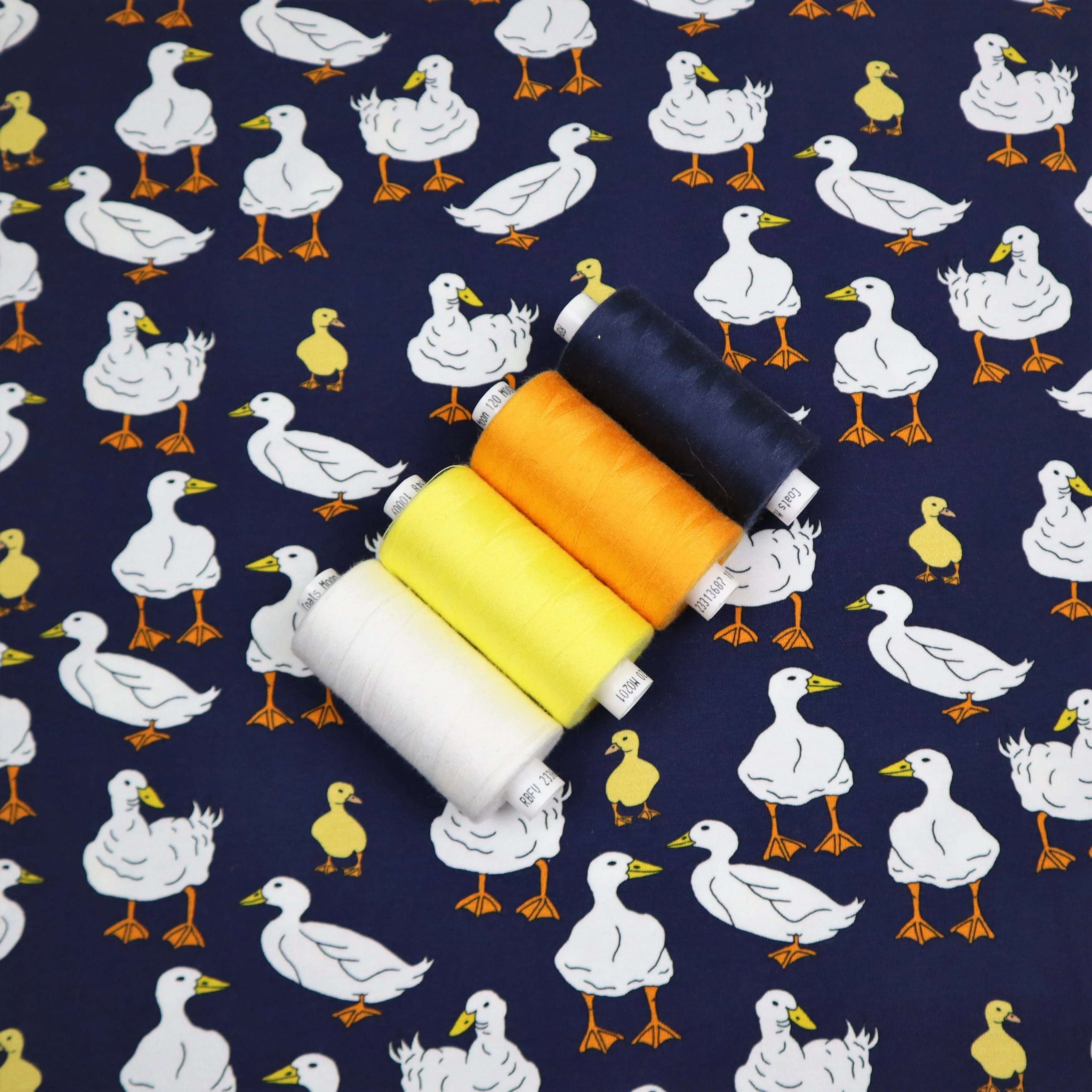 SALE Organic Cotton Jersey in Goose Print