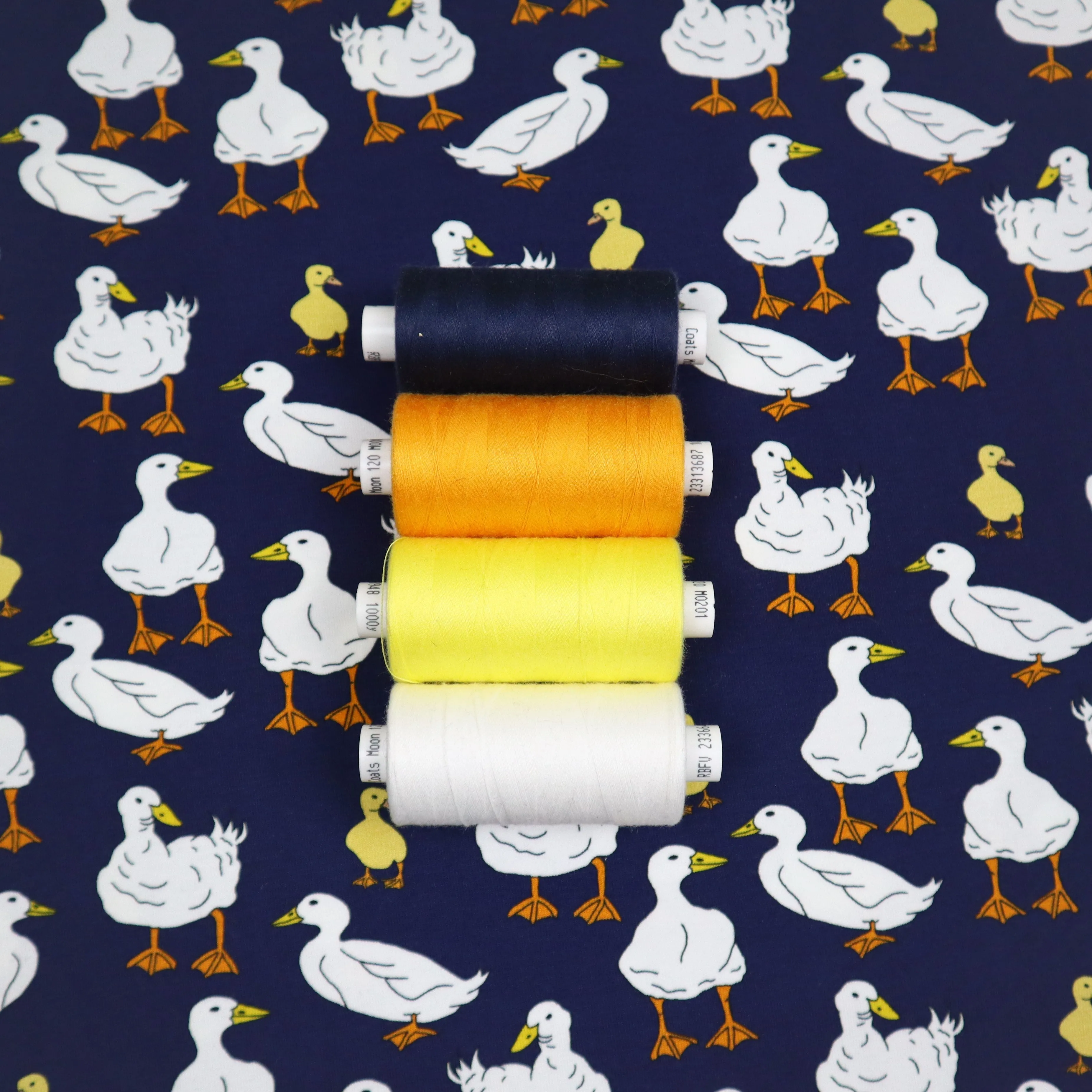 SALE Organic Cotton Jersey in Goose Print