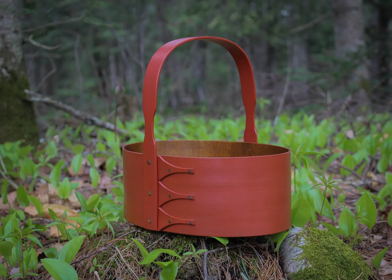 Size #5 Shaker Carrier